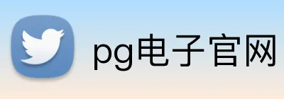 pg电子官网 logo